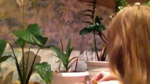 как ухаживать за цветами