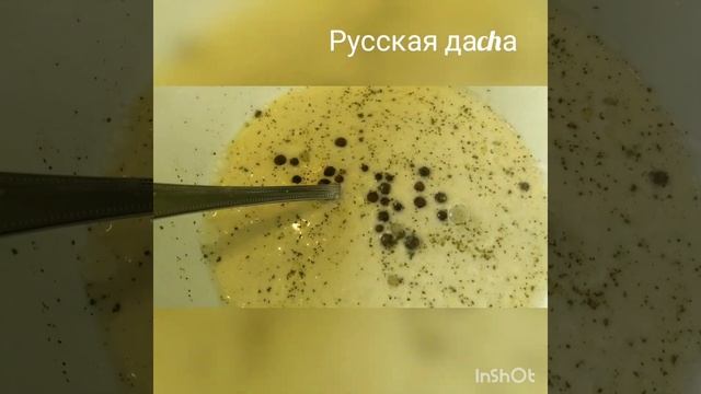НОВОГОДНИЙ КРОЛИК В СМЕТАННОМ СОУСЕ!!!!