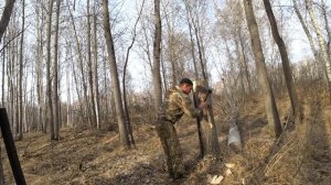 делаю солонец лосям, косулям и зайцам.