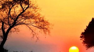 Ingrid Kup- Life Goes On.wmv