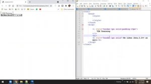 Html and css clas by Praveen gubbalas Angular Class 12  21st March 2021