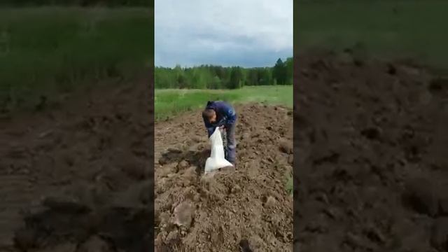 Биотехнические мероприятия.Посадка овса на кормовых полях. смотреть онлайн