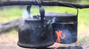 Природа Коми