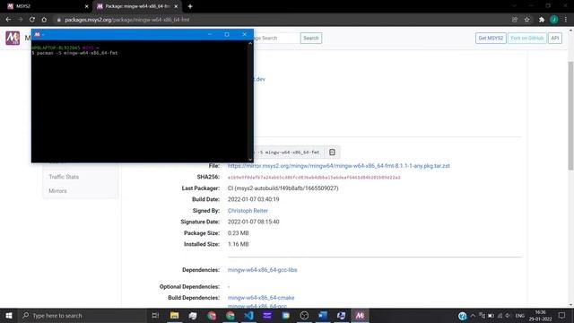 Include c/cpp third party libraries in Vscode(windows) Msys2-Gcc