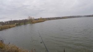 Ловля на ларву, знакомство с живой ларвой, и мега активный окунь в конце ноября!