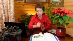 Сам себе дизайнер - садовый пруд