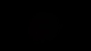 В. Я. Шаинский. "По ниточке, по ниточке ходить я не желаю..."