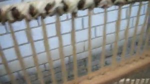 Сумка из рогоза,тканая на станке .1