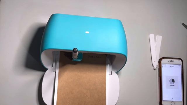 Plant Stakes using Cricut Smart Label Vinyl смотреть онлайн