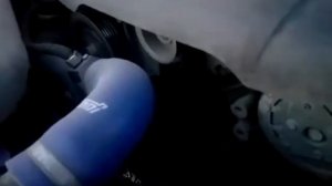 Что-то шуршит?!