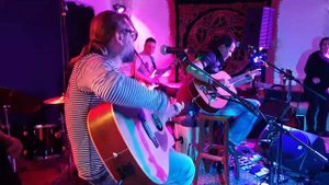 Зоопарк, Е. Летов (кавер) Leo Shenk & Co.