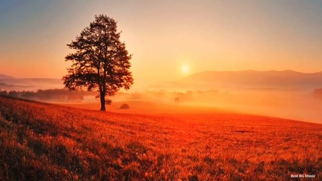 Roman 0602 News • Новый Поезд "Смарт" Метро СПб (Спец-Выпуск) смотреть онлайн