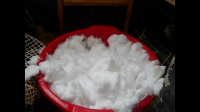 Домашний хорек Тёма и много снега и сена (ferrets playing) смотреть онлайн