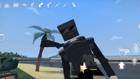 играю в симулятор