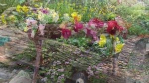 Удивительные клумбы своими руками из подручных материалов