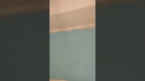Как в общежитии сделать воду и канализацию.