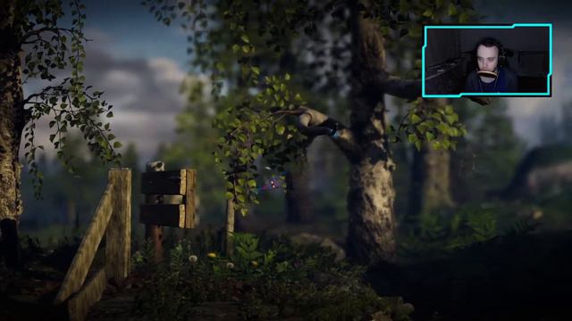 Прохождение Unravel Two: Часть 3 [То ли Тетерев... то ли Глухарь, а я сказал Индюк]