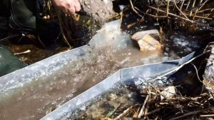 ДОБЫВАЮ ЗОЛОТО ШЛЮЗОМ