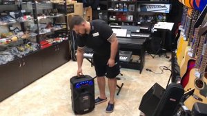 Портативная акустическая система