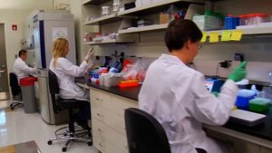 Кишечник скажет СПАСИБО! / Диета при болезни Крона