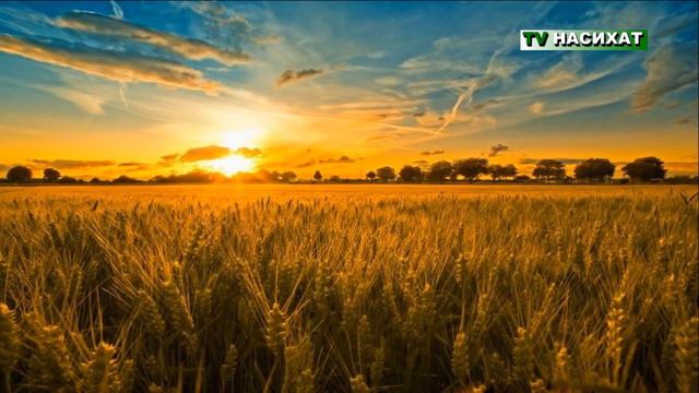 Поучительная история. Бедная женщина. смотреть онлайн