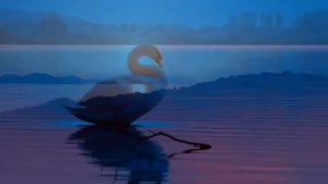 Аппарат Чистые Дни  В помощь Автоному  Желание есть пропадает мгновенно  Защита от вышек  Вывод ЖИЖ