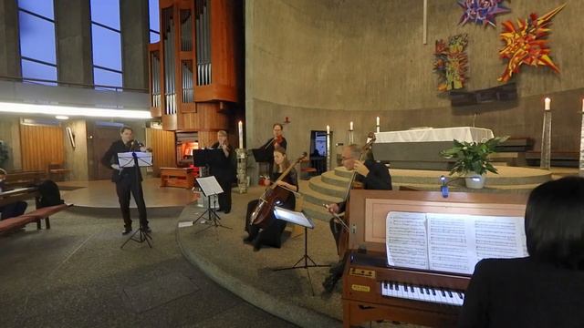 G. Ph. Telemann Suite in D-Major for Viola da Gamba and Orchestra, TWV 55: D6; Complete смотреть онлайн