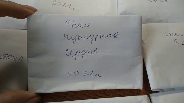 Сеем СЕМЕНА . Бешеная всхожесть и урожайность смотреть онлайн