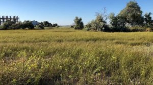 Отдых в Штормовом с палатками