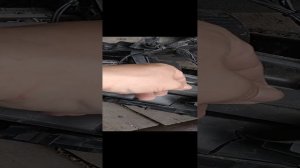 VID_20240604_114914.mp4
