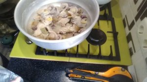 консервация грибов, синеножка, Донбасс, апрель