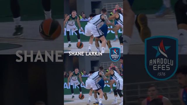 Shane Larkin  - Ball Screen Split  #basketballl