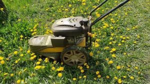 Косилки Колибр ЭТ-1000В+,  Champion LMH5629, Заря - наши незаменимые помощницы