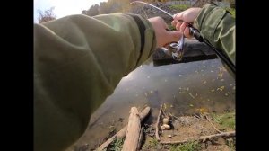 Легкий джиг, хищник "капризничает".mp4