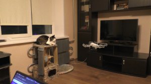 НОВЫЙ КВАДРОКОПТЕР DJI MINI 3 с защитой пропеллеров