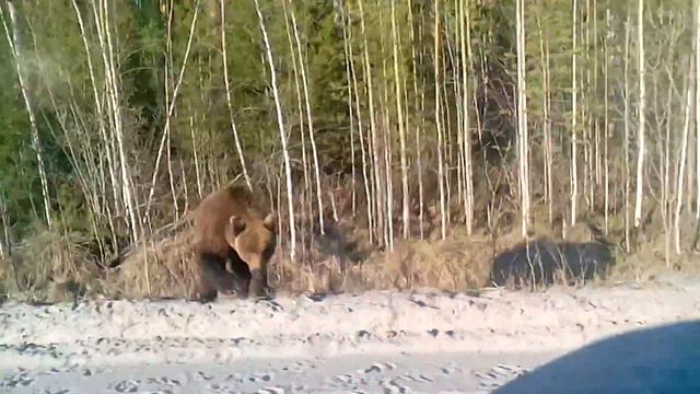 А где маша? смотреть онлайн