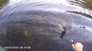 Ловим щуку в Ростовской области Волгодонск