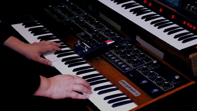 Eventide Blackhole pedal on Prophet-5 Rev.2 смотреть онлайн