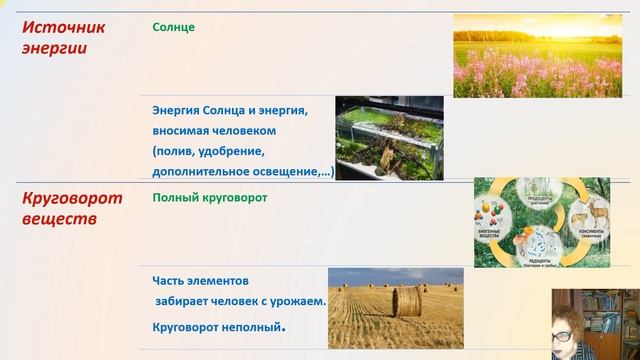 естеств и искусств экосистемы 5кл смотреть онлайн