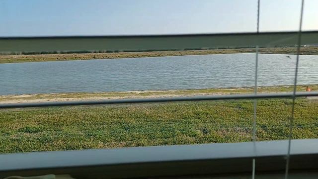 ДОМ НА БЕРЕГУ ВОДОЕМА. ОБЗОР ДОМА В ОРЕНДЖ ФИЛД, ШТАТ ТЕХАС. смотреть онлайн