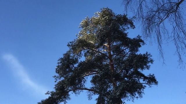 Озеро Ивановское Зима 2015 HD смотреть онлайн