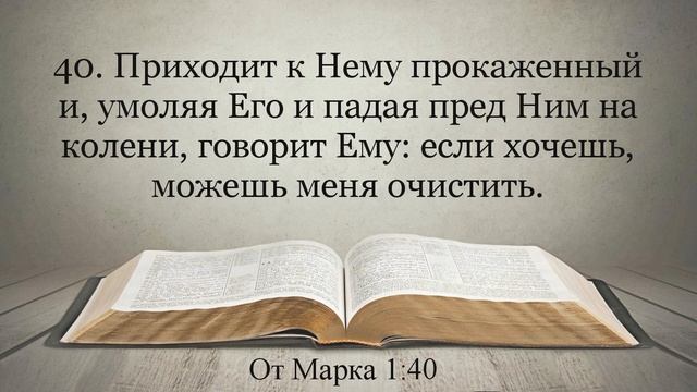 Лучшая Видео Библия. Чтение Евангелие от Марка. Главы 1-2. Синодальный перевод