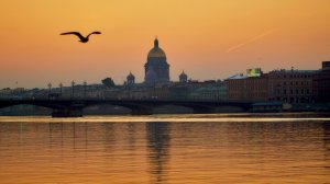 Два теплохода столкнулись в Петербурге. Главное о ситуации