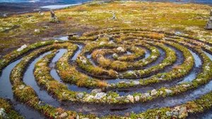 Жемчужина природы России: Соловецкие острова