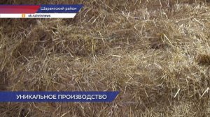 В Шарангском районе запустили уникальную для России линию по производству утеплителя из льна