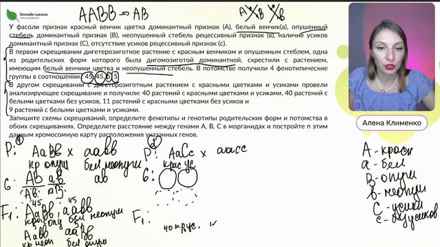 Новая 29 задача на ЕГЭ по Биологии смотреть онлайн