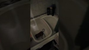 Hotpoint-Ariston RST 6029 ST S Функция пара бестолковая