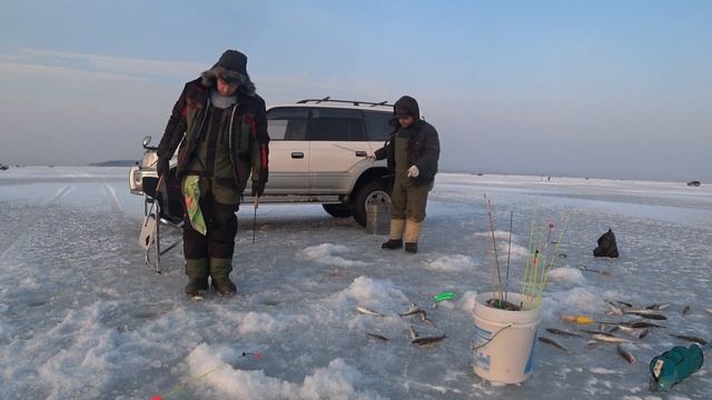 НАВАГА .ТАВРИЧАНКА. КОМБАЙНЫ. УЧУСЬ ЛОВИТЬ НАВАГУ НА КОМБАЙНЫ. смотреть онлайн