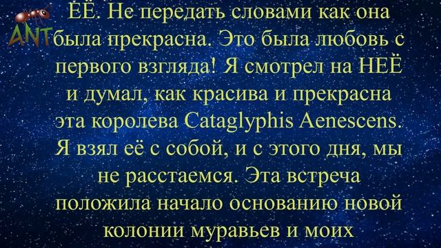 ANTичные истории. Начало. смотреть онлайн