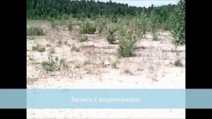 Квадрокоптер HIPER Falcon X FPV